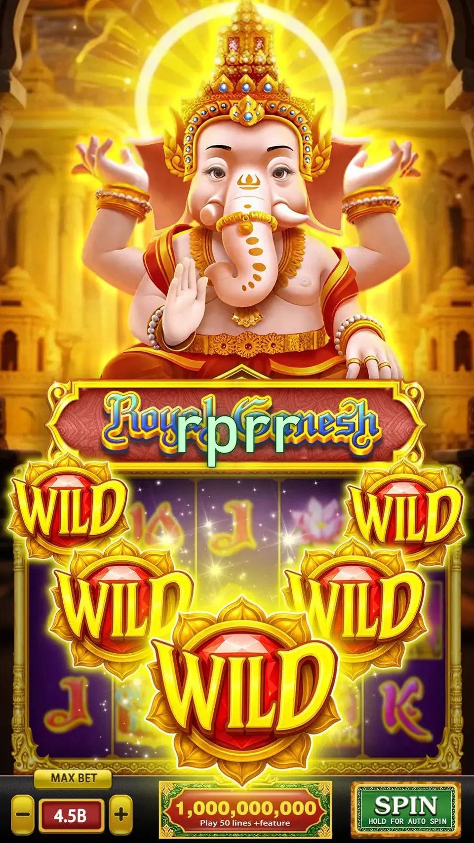 rprr APK
